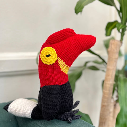 Hornbill