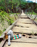 Floyd Hand knit Monster