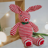 Stripey Bear and Bunny