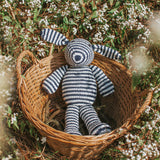 Stripey Bear and Bunny