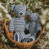 Stripey Bear and Bunny