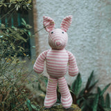 Stripey Bear and Bunny