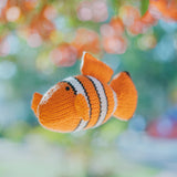 Clownfish