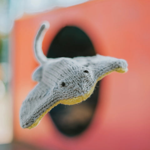 Baby Stingray