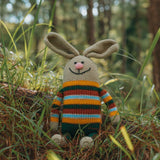 Rainbow Forest Friends