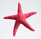 Sea Star