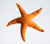 Sea Star