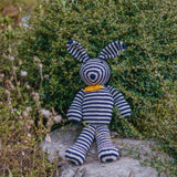 Stripey Bear and Bunny