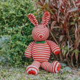 Stripey Bear and Bunny