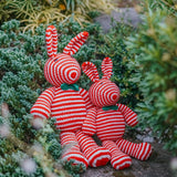 Stripey Bear and Bunny