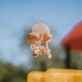 Jellyfish